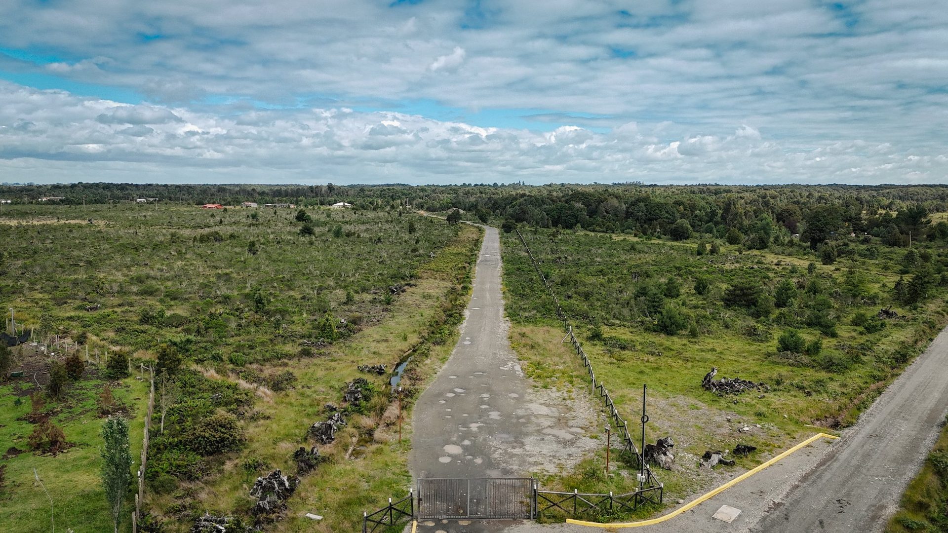 Bosque nativo con Coigües y Ulmos en parcelas de Puerto Varas