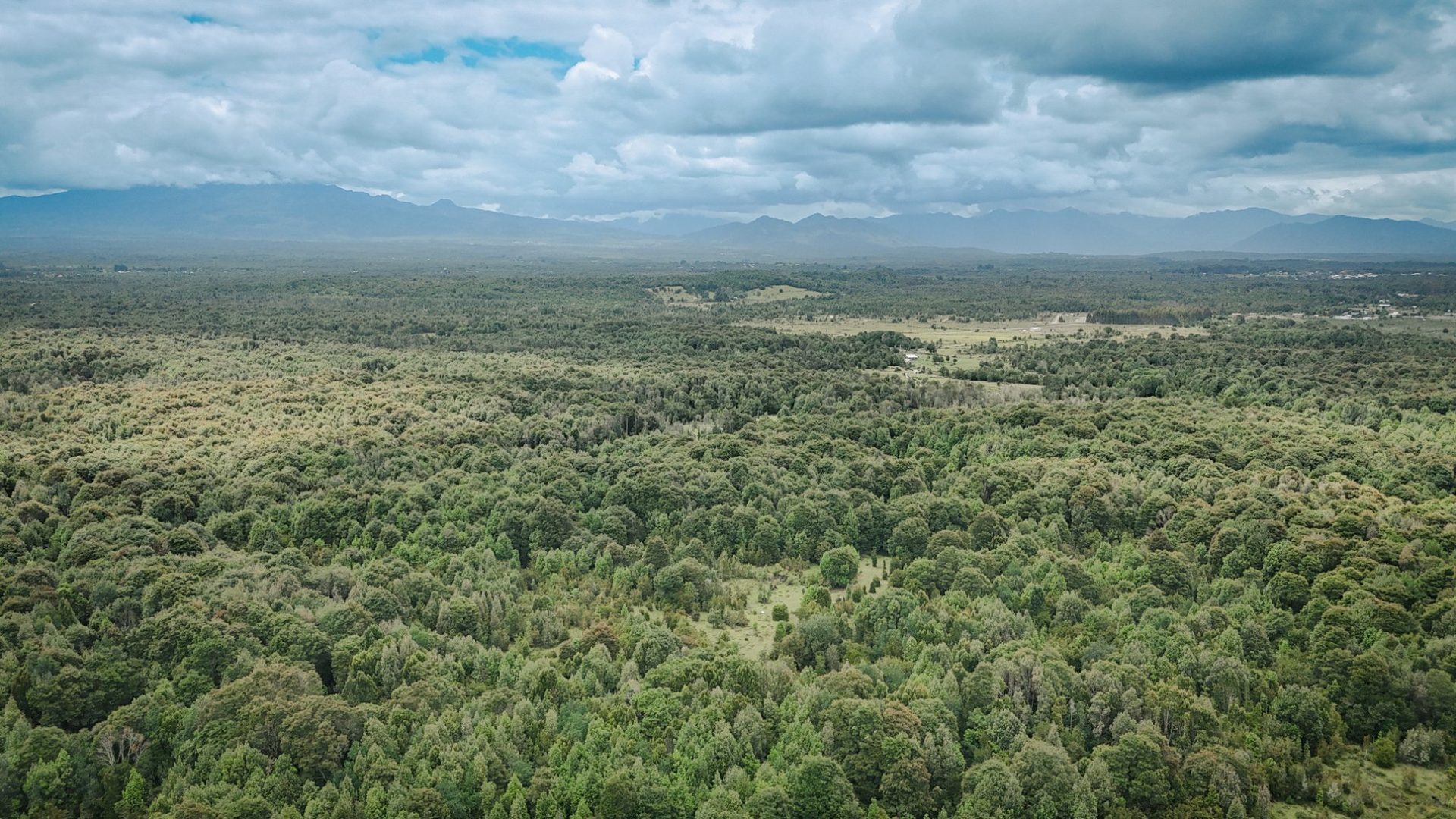 Acceso principal al Condominio Los Cauces - parcelas en Puerto Varas