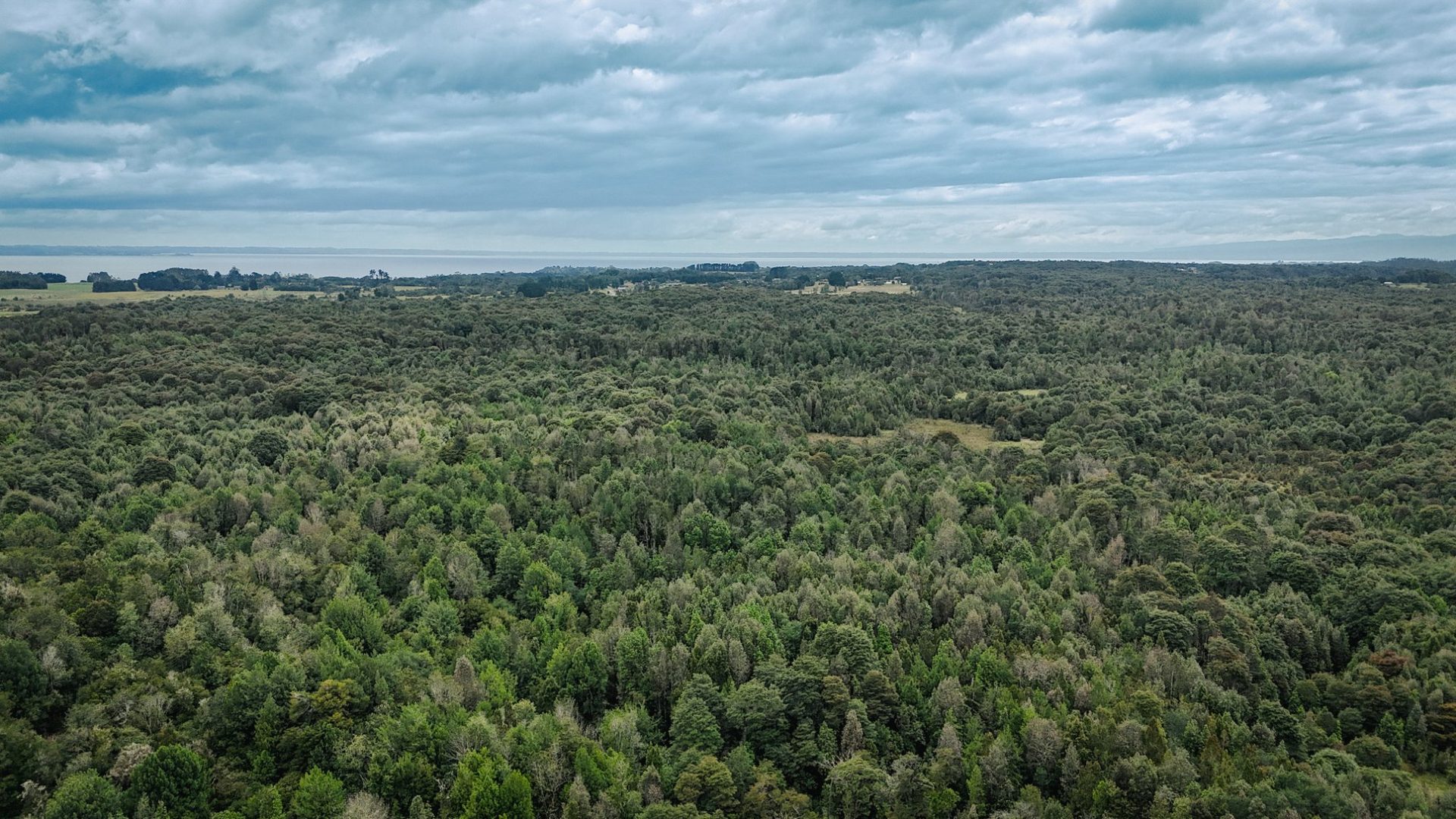 Vista aérea del bosque nativo y volcanes en Puerto Varas - Condominio Los Cauces