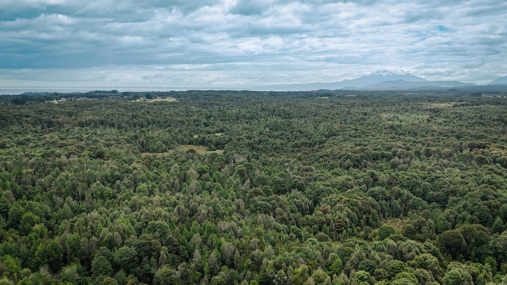 Parcelas con vista al Volcán Osorno y Lago Llanquihue en Puerto Varas