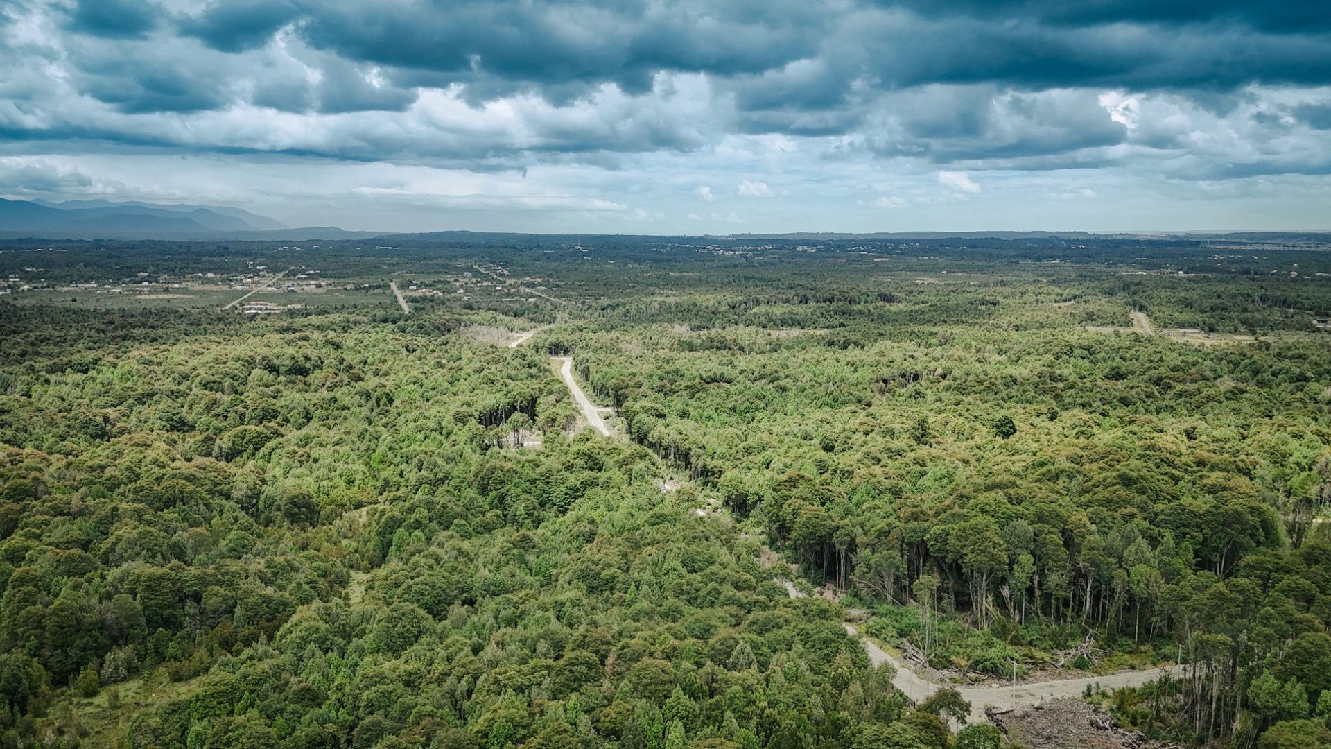 Esteros cristalinos y senderos en el Condominio Los Cauces Puerto Varas